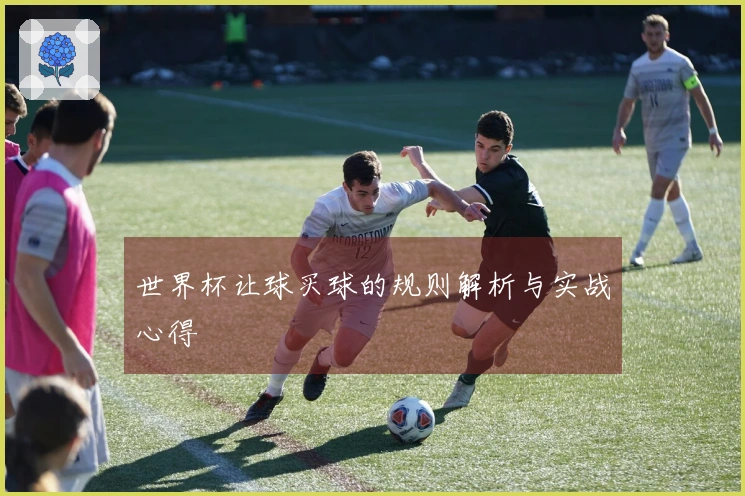 世界杯让球买球的规则解析与实战心得