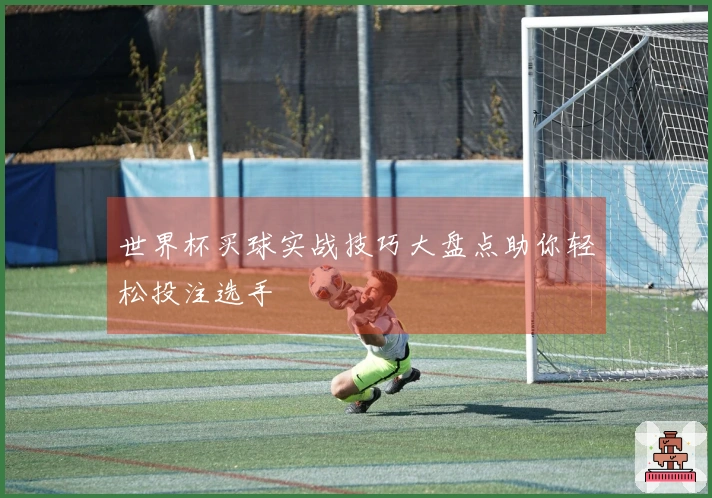 世界杯买球实战技巧大盘点助你轻松投注选手
