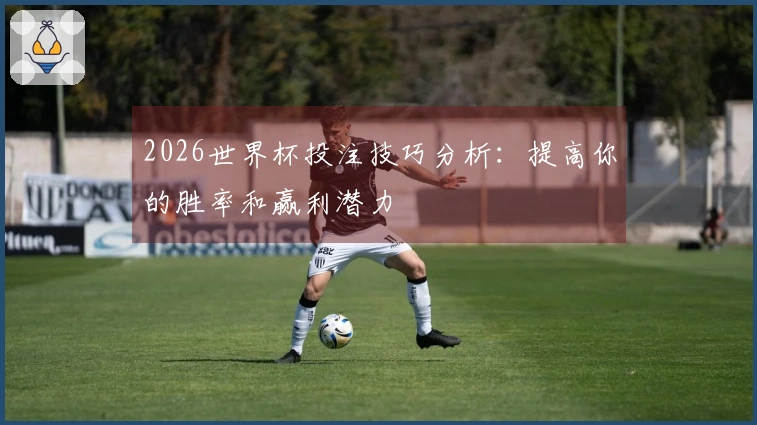 2026世界杯投注技巧分析：提高你的胜率和赢利潜力