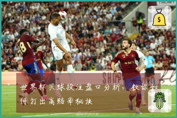 世界杯买球投注盘口分析，教你如何打出高赔率秘诀