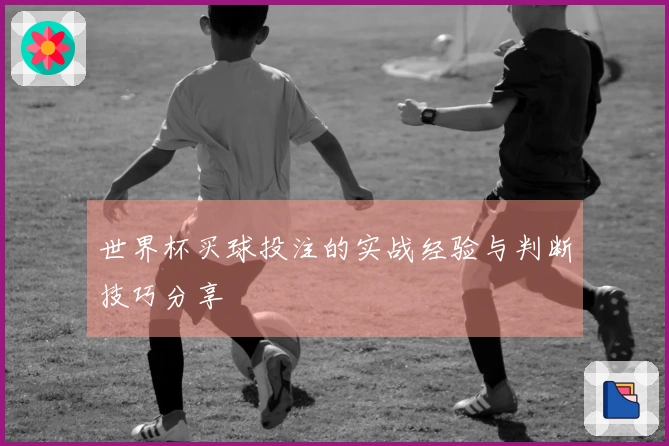 世界杯买球投注的实战经验与判断技巧分享