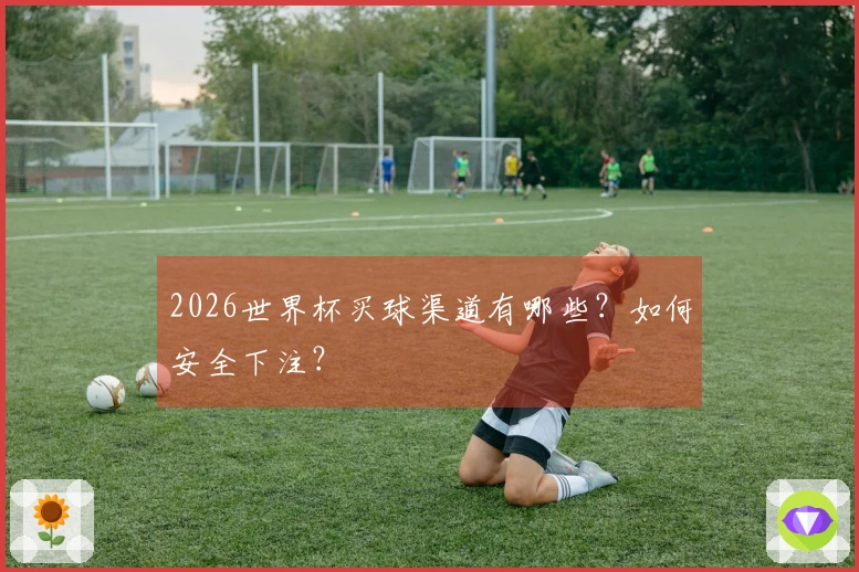 2026世界杯买球渠道有哪些？如何安全下注？