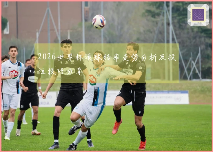 2026世界杯滚球赔率走势分析及投注技巧分享