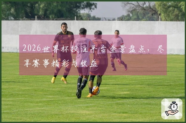 2026世界杯投注平台全景盘点，尽享赛事精彩与收益