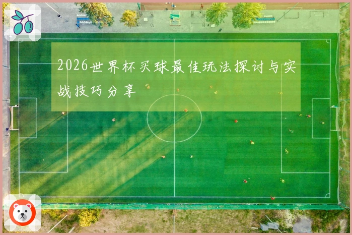 2026世界杯买球最佳玩法探讨与实战技巧分享