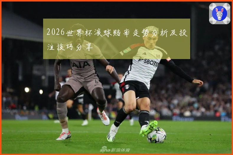 2026世界杯滚球赔率走势分析及投注技巧分享