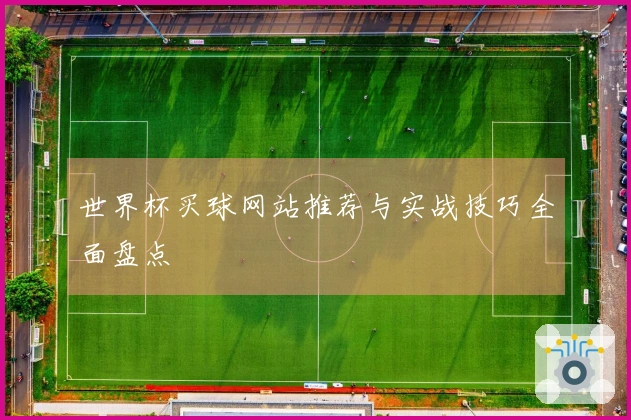 世界杯买球网站推荐与实战技巧全面盘点