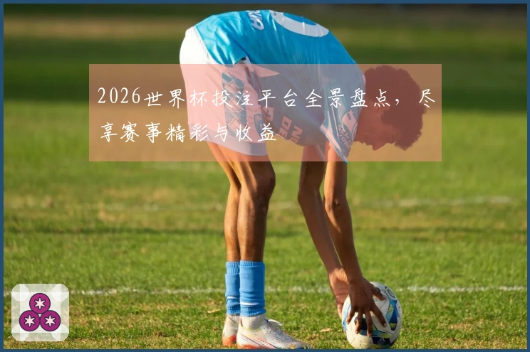2026世界杯投注平台全景盘点，尽享赛事精彩与收益