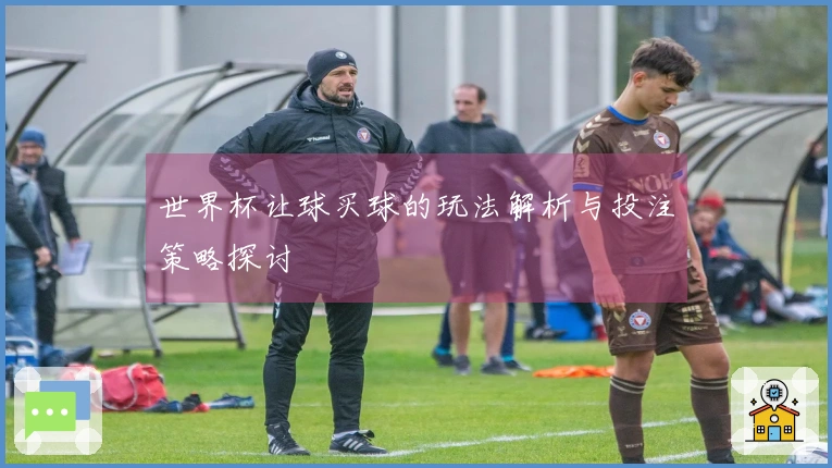 世界杯让球买球的玩法解析与投注策略探讨