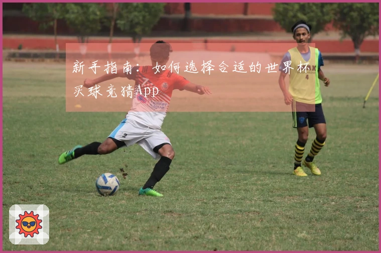 新手指南：如何选择合适的世界杯买球竞猜App