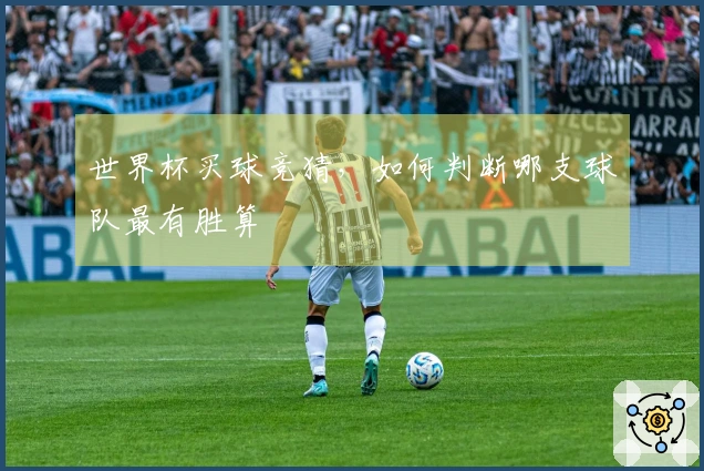 世界杯买球竞猜，如何判断哪支球队最有胜算