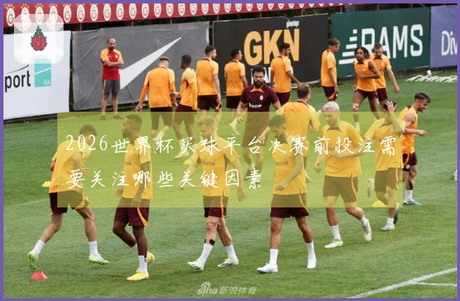 2026世界杯买球平台决赛前投注需要关注哪些关键因素