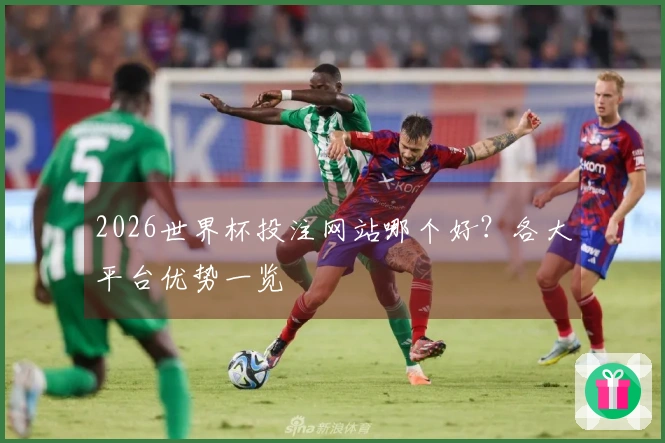 2026世界杯投注网站哪个好？各大平台优势一览